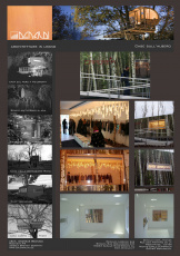 39_Casa Albero
